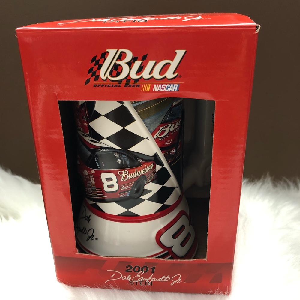 Dale Earnhardt Jr 2001Wide Open Stein Mug